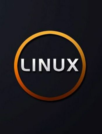 Linux-jiner0503